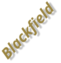 Blackfield