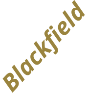 Blackfield